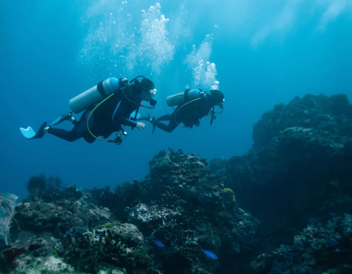 Padi Certification And Dive Training