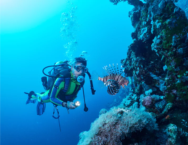 Lion fish and scuba diver in red sea