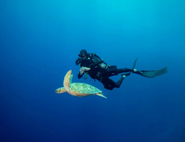 Diver and sea turtle