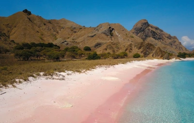 Pink beach in Komodo